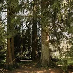 Camping Maringotka Gerlovka Sumava Cachrov