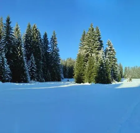 Maringotka Gerlovka Sumava *